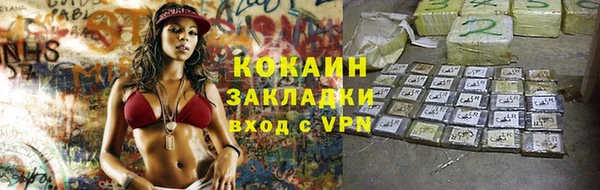 индика Горно-Алтайск